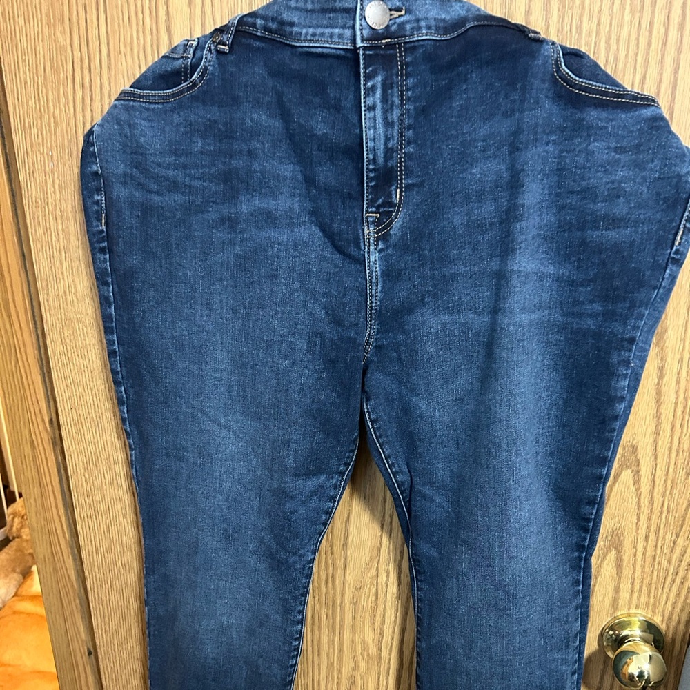 Lane Bryant skinny jeans.